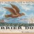 carrier-pigeon-poker