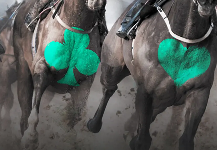 Grand National Bet365 Poker Bonus