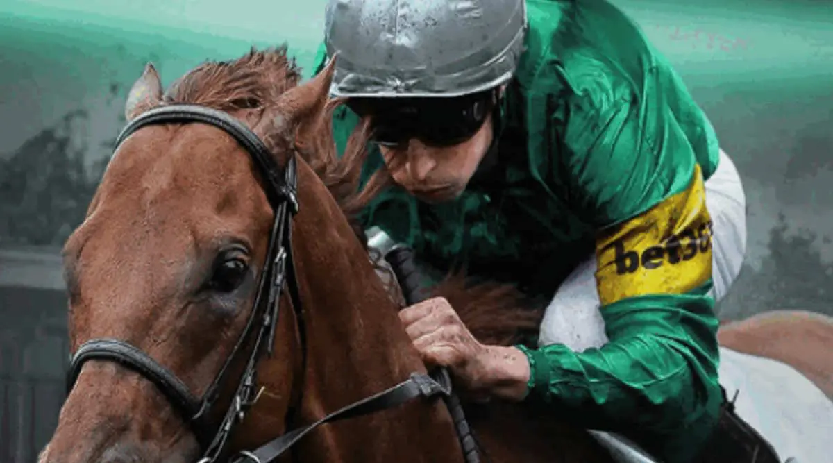 bet365 new market horse racing