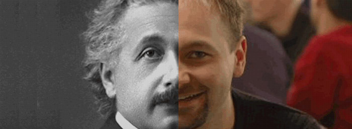 Einstein and Daniel Negreanu