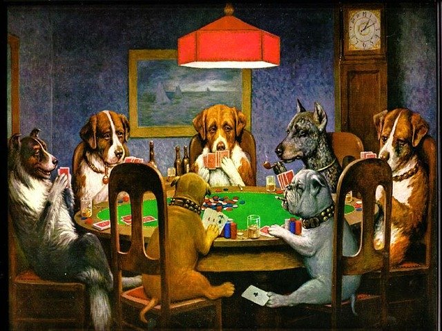 membeli meja poker