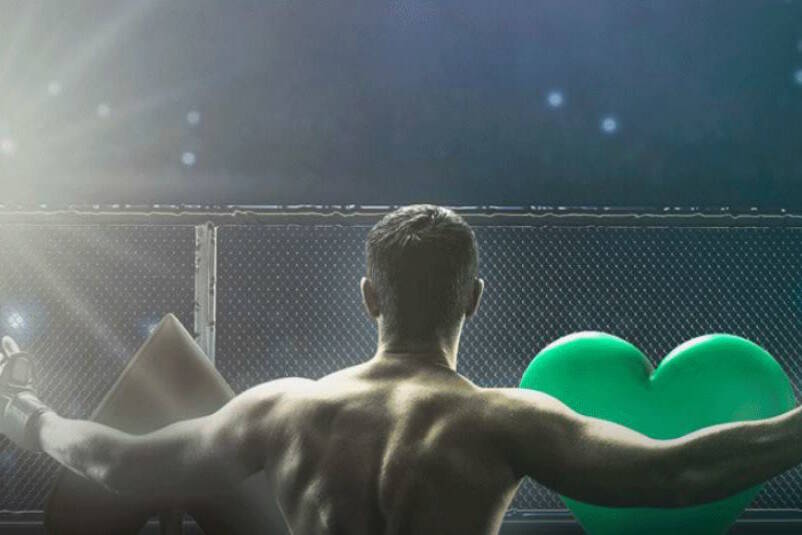 bet365 fight predictor