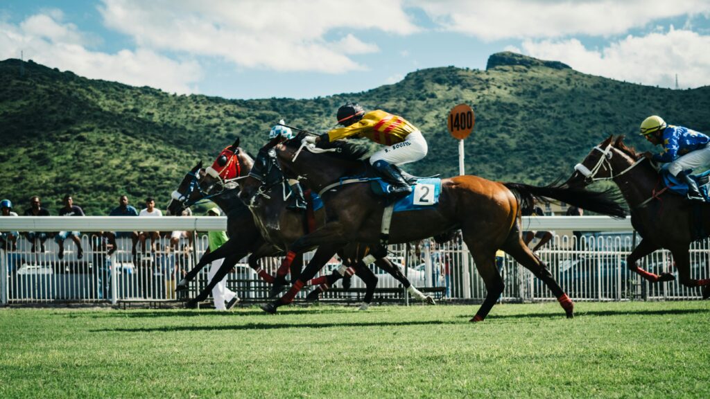 Best odds guaranteed, BOG meaning betting