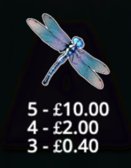 Big Bass Splash Base Game Dragon Fly