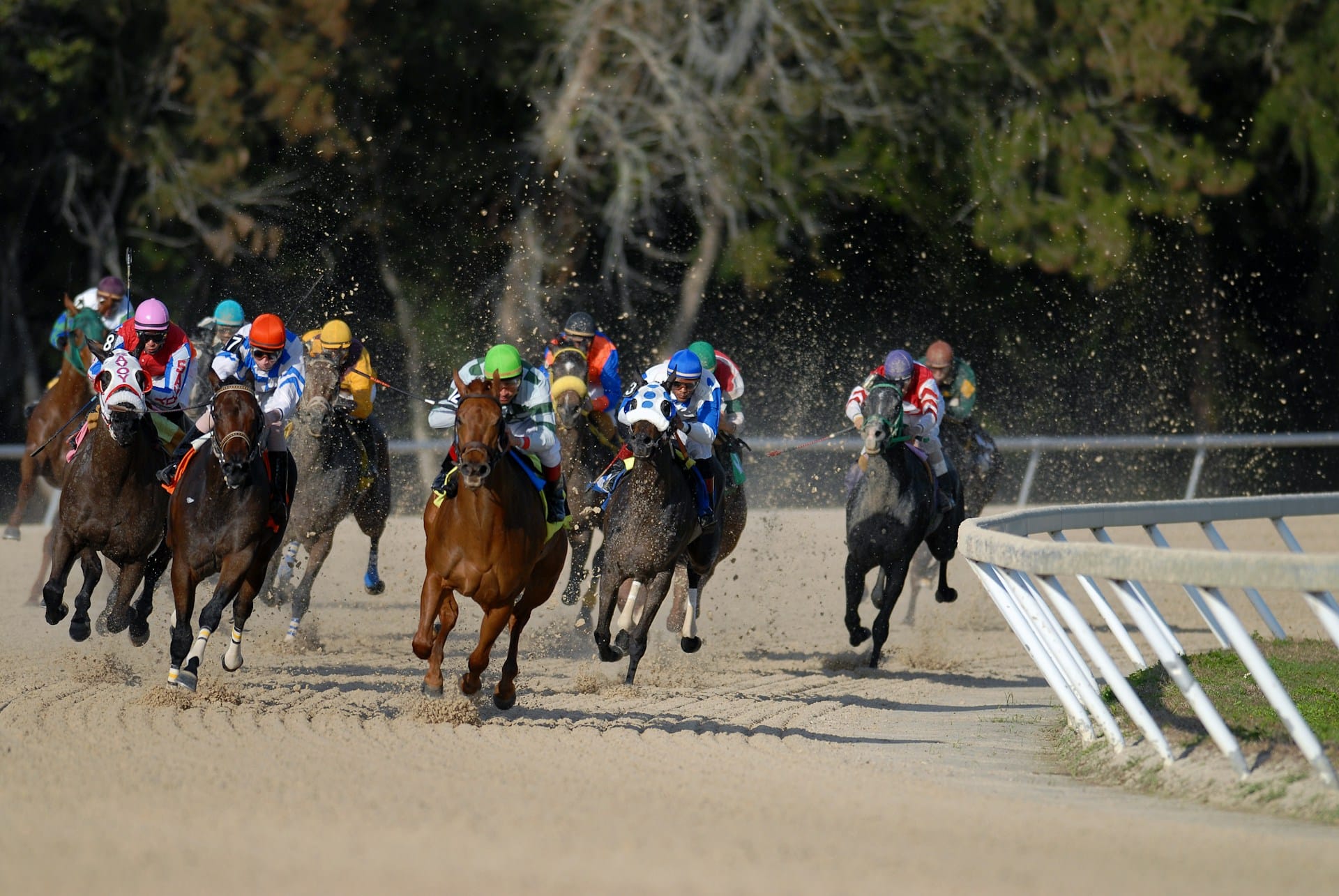 Tote Betting