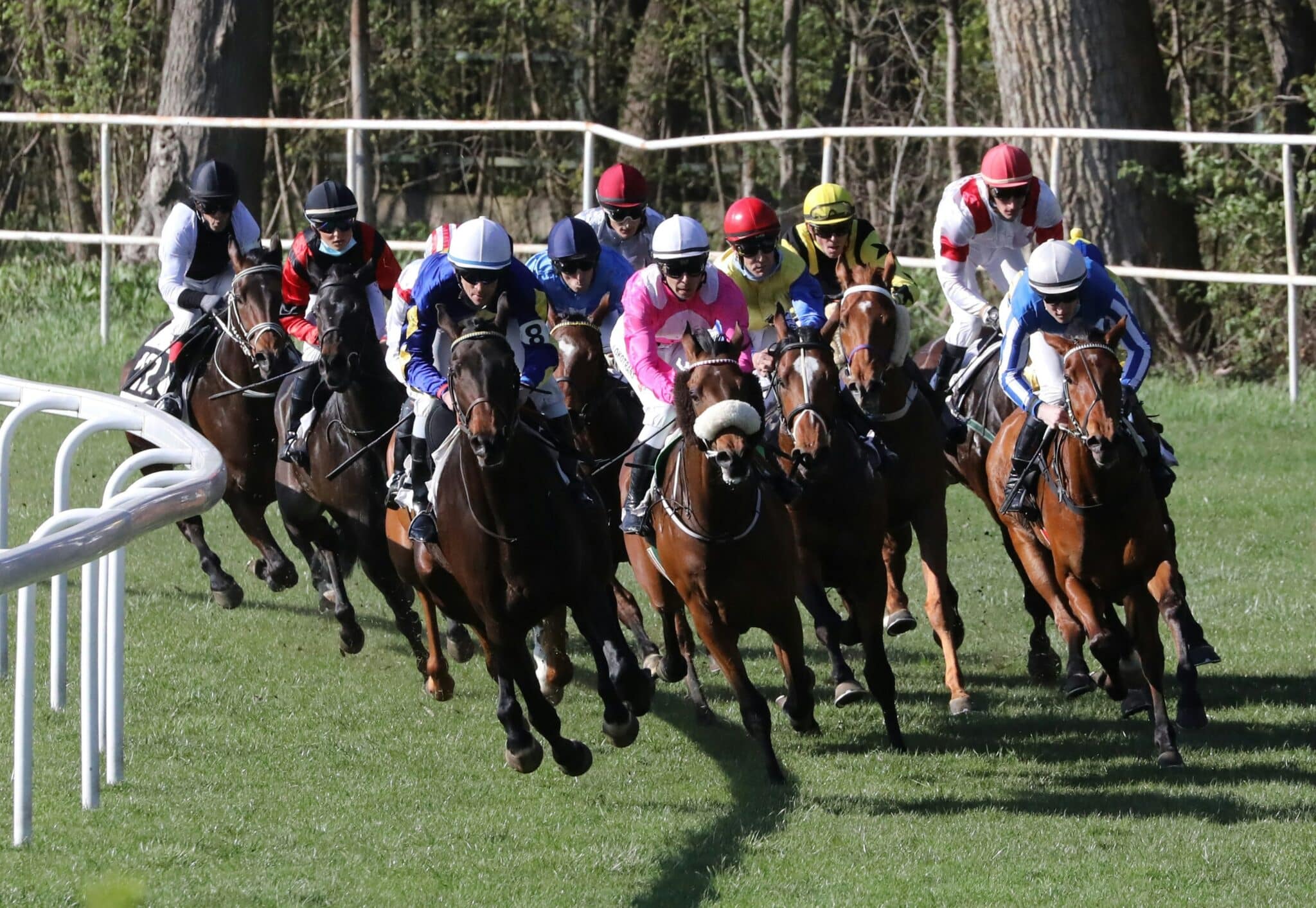 Epsom Derby Festival