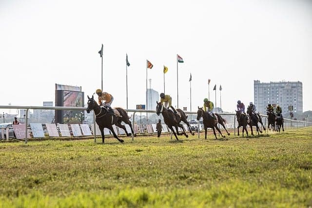 horse, horse race, nature, jockey, horse racing, horsemen, race horse, Placepot bets