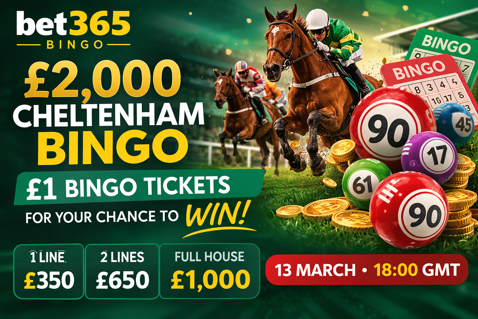 Cheltenham Bingo bet365 Bingo