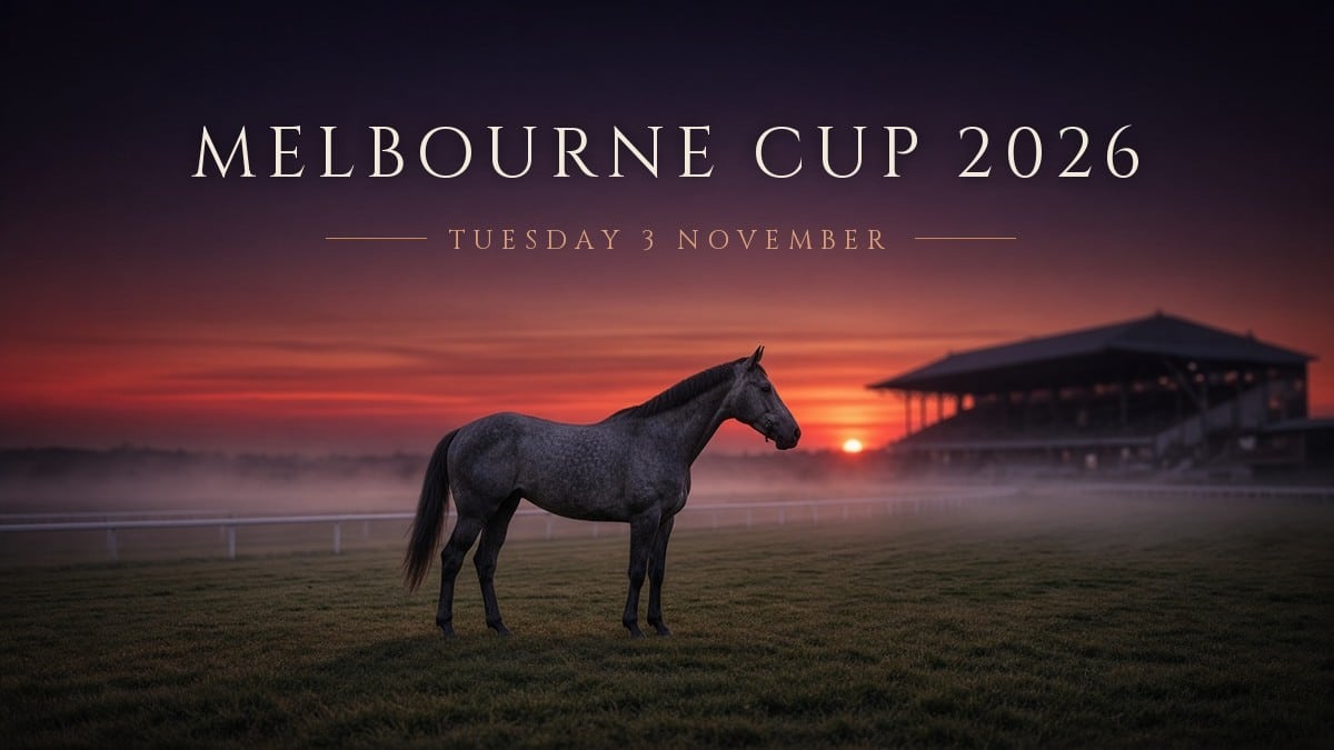 Grey racehorse standing on the track at sunset - Melbourne Cup 2026